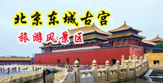 男操女的免费网站中国北京-东城古宫旅游风景区